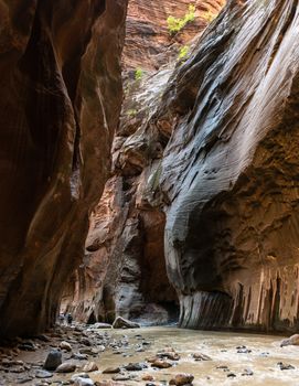 The Narrows in Zion National Park, Utah