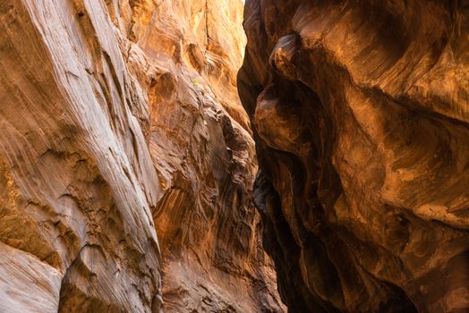 The Narrows in Zion National Park, Utah