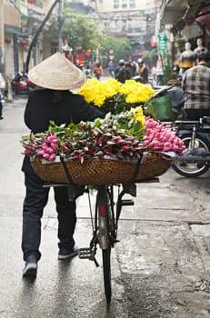 Woman selling flowers from bicycle on the street in Hanoi, Vietnam