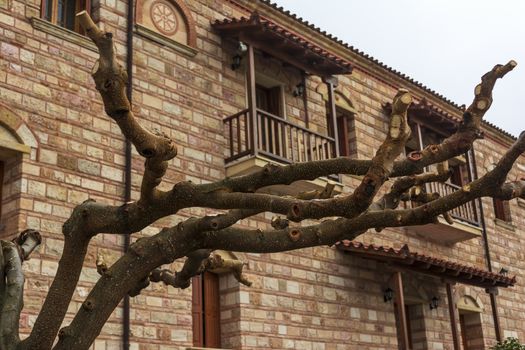 Naked tree in front of Christian orthodox monastery of the Virgin Mary in Malevi, Peloponnese, Greece.