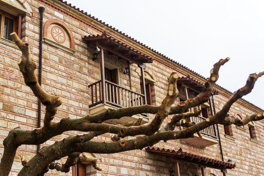 Naked tree in front of Christian orthodox monastery of the Virgin Mary in Malevi, Peloponnese, Greece.