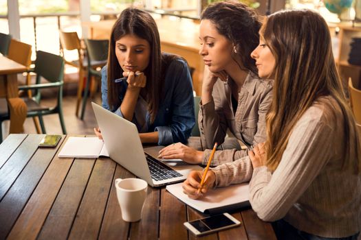 Group of female friends studying together