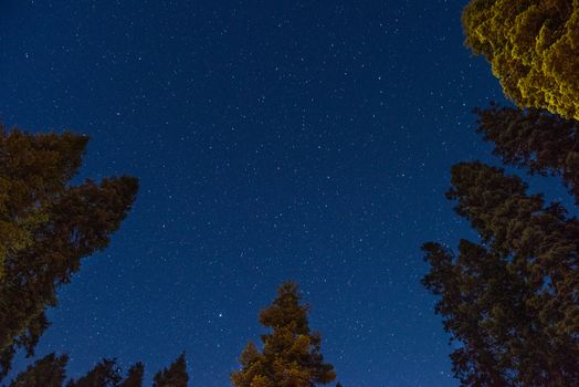 Stars seen from Dorst Creek campground in Sequoia National Park, California