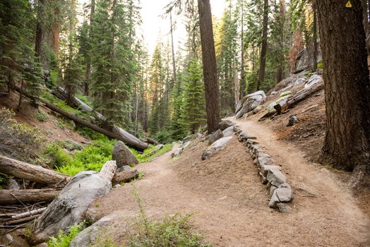 Sunset Rock trail in Sequoia National Park, California