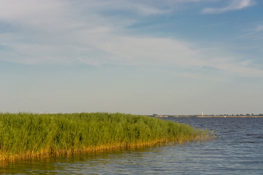 National Park Vorpommersche Boddenlandschaft on Fischland at the Baltic resort Ahrenshoop in Germany