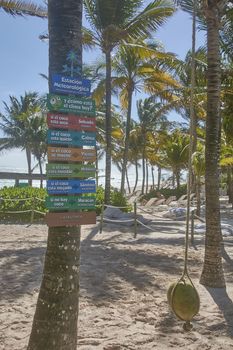 Sign attached to the trunk of a palm tree