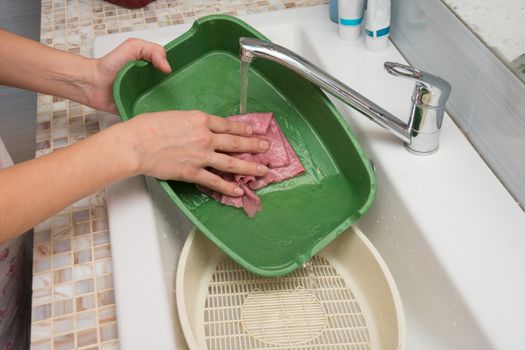 Girl washes cat tray