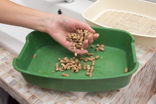 The owner changes the wood filler in a cat or dog tray