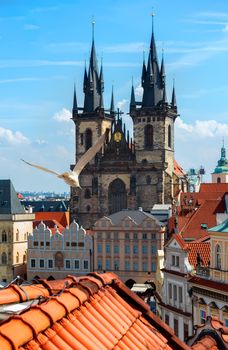 Gulls over Prague chimes and Tynsky cathedral at summer day