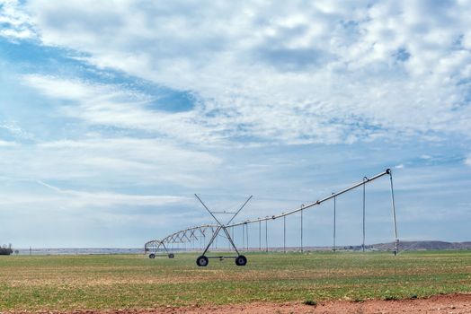 A center pivot irrigation system in operation near Orania in the Northern Cape Province