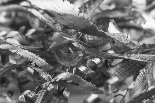 Silver color metal shavings macro close-up