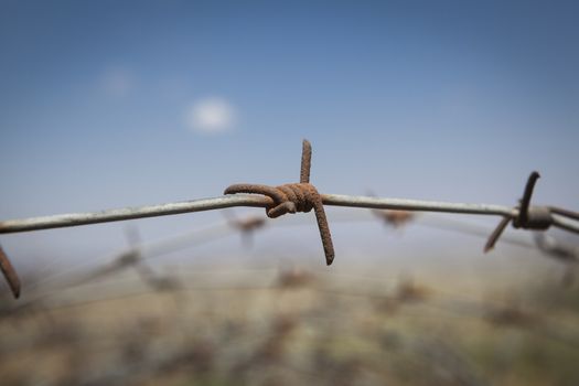  rusted Barbed wire closeup country borders with blue sky and white clouds
