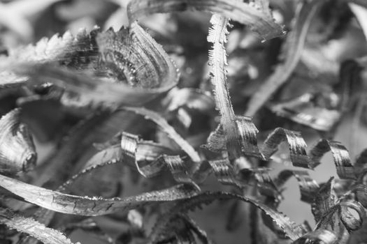 Silver color metal shavings macro close-up