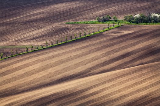 Sunset lines and waves in the spring, South Moravia, Czech Republic