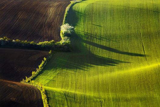 Sunset lines and waves in the spring, South Moravia, Czech Republic