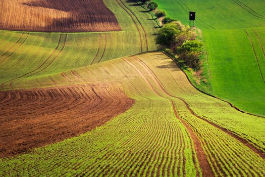 Sunset lines and waves in the spring, South Moravia, Czech Republic