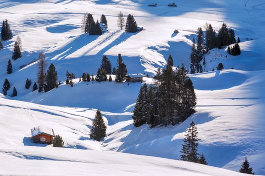 long shadows at morning in winter on Alpe di Siusi, Dolomites, Italy