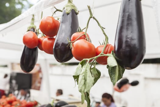 egg-plant and toamtoes on a string in an  european agricultural market