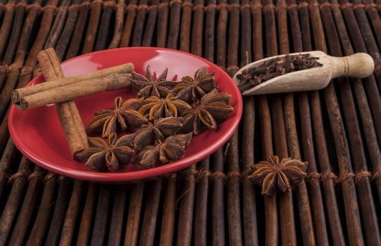 Cinnamon sticks with star shape anis on red plate and wood background