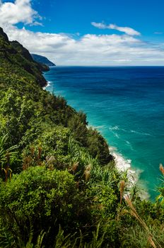 Green wild vegetation, blue water, abrupt shore line and beautiful clouds in the sky in this scene from Kalalau Trail, US