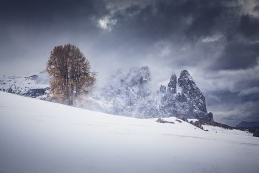 snowy early winter landscape in Alpe di Siusi.  Dolomites,  Italy - winter holidays destination
