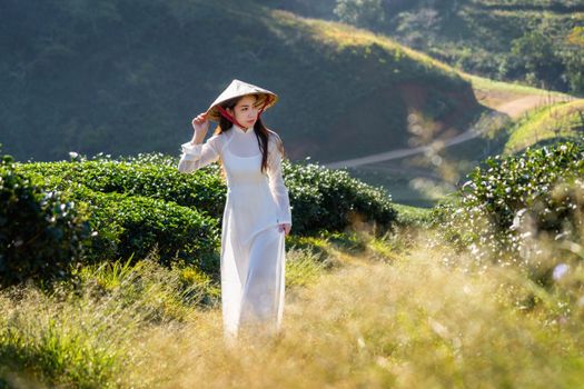 Asian woman wearing Vietnam culture traditional in green tea field.