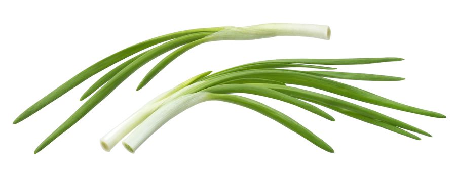 Fresh chives, green onion isolated on white background with clipping path