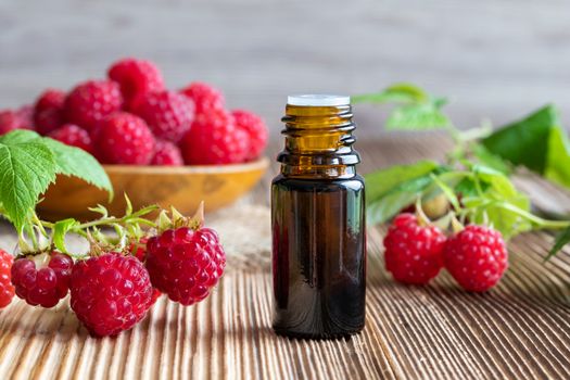 A bottle of raspberry seed oil with fresh fruit