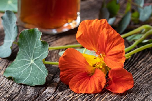 Fresh nasturtium flower, with a bottle of tincture in the background