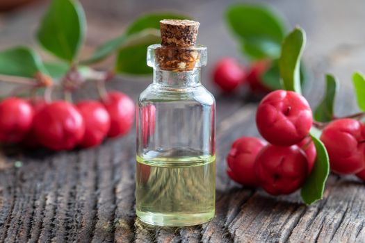 A bottle of essential oil with wintergreen leaves and berries