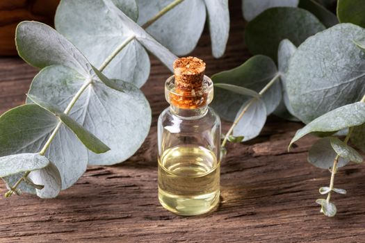 A bottle of essential oil with fresh eucalyptus twigs