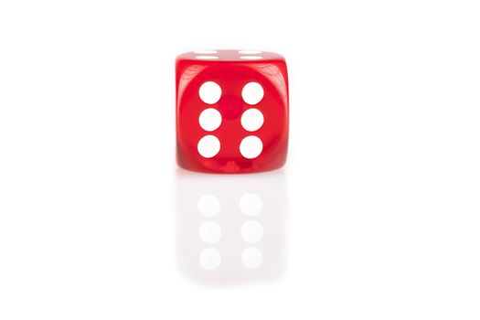 One red dice isolated on white background with reflection