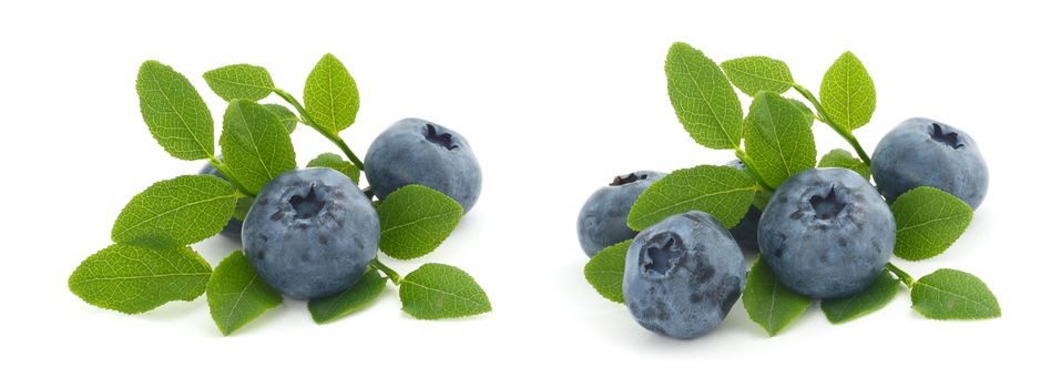 Set of piles of blueberry berries with leaves isolated on white background