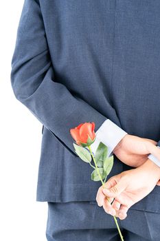 Close up photo of businessman in suit  holding red roses behind his back on white background