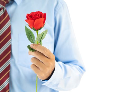 Close up photo of businessman holding with red rose on white background with clipping path