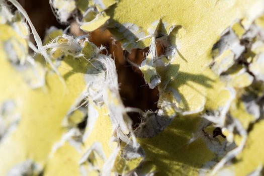 Bullet holes and hits on the target during sport with bow and arrow