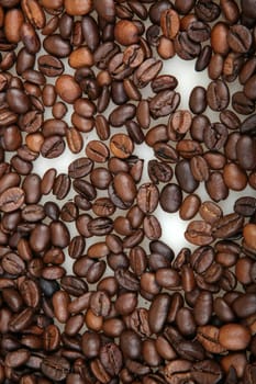 Coffee Beans isolated on white