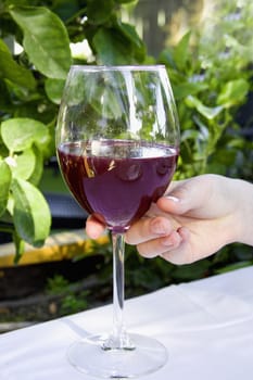 A hand is holding a glass of red wine over a table covered with a white tablecloth against a green background lit by the sun.