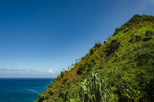 Hawaiian typical strong green vegetation over deep blue sea, US