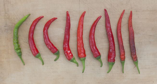 red chilis in a row with one single green chili pepper