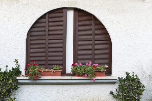Old style wood window with red flowers on white textured wall