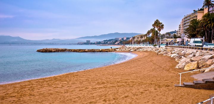Cannes sand beach and palm waterfront panoramic view, famous tourist destination of French riviera, Alpes Maritimes region of France