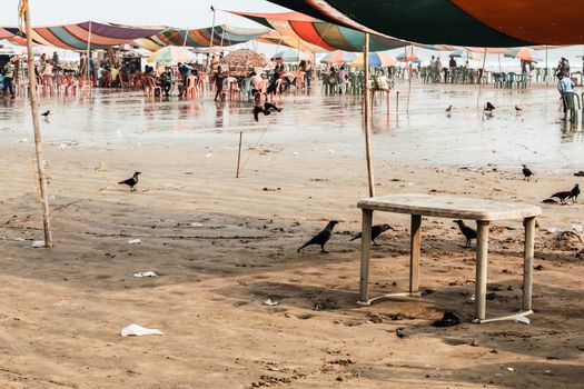 Mandarmani, West Bengal, India 10, Jan 2019: Beach market crowded with tourists and vendors in Mandarmani, west Bengal during new year festival, causes water pollution due to plastic pile of garbage