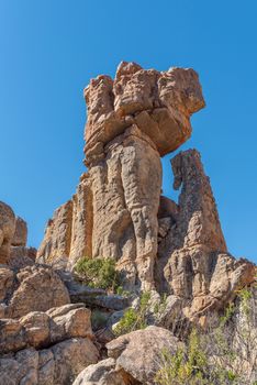 Rock formations, resembling a dog and a seahorse, on the Lots Wife hiking trail at Dwarsrivier in the Cederberg Mountains