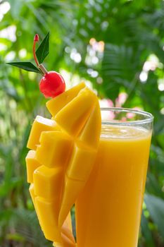 Healthy Ripe Yellow  Mango Smoothie . concept healthy food