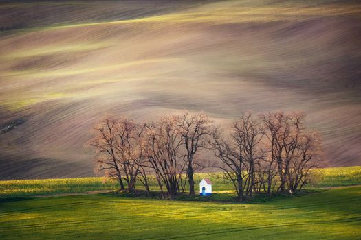 Lines and waves with trees and chapel in the spring in area known as Moravian Tuscany, South Moravia, Czech Republic