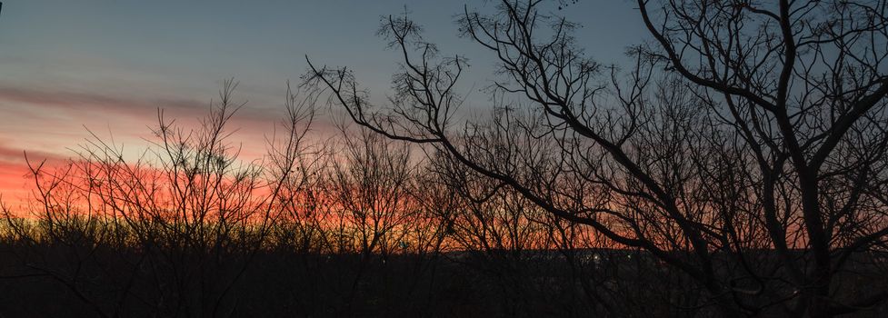 Panorama view high aerial view of city park during dramatic sunrise with top tree bare branches in wintertime