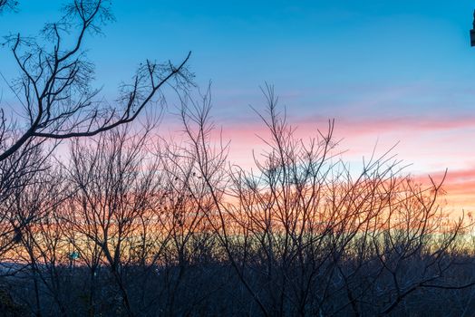 High aerial view of city park during dramatic sunrise with top tree bare branches in wintertime