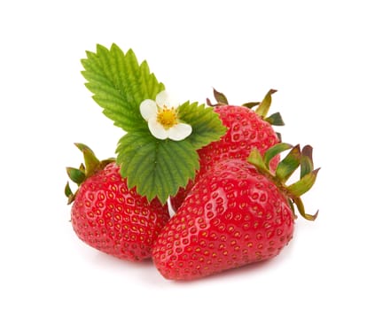 Strawberries with leaves and flower isolated on white background