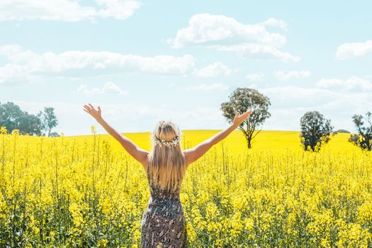 Woman in rural fields of golden canola, arms outstretched for thankfulness, praise, glory, sucess, etc